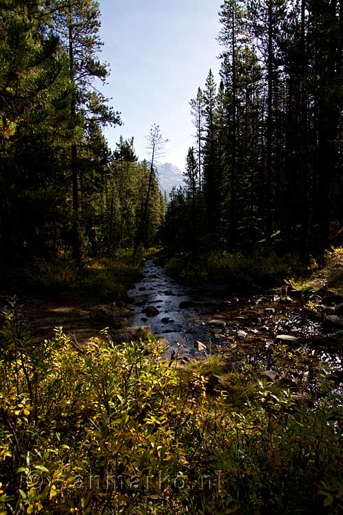 Een leuk stroompje tijdens onze wandeling naar Moose Lake bij Maligne Lake