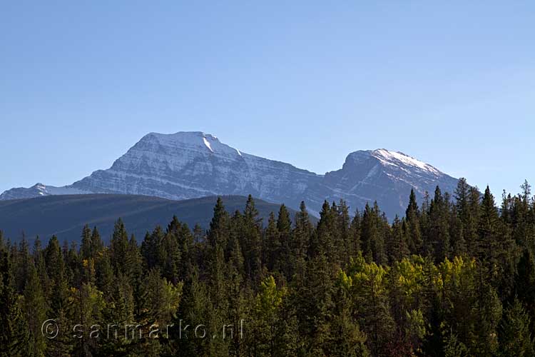 Een mooi uitzicht over de bergen van Jasper National Park vanaf het wandelpad