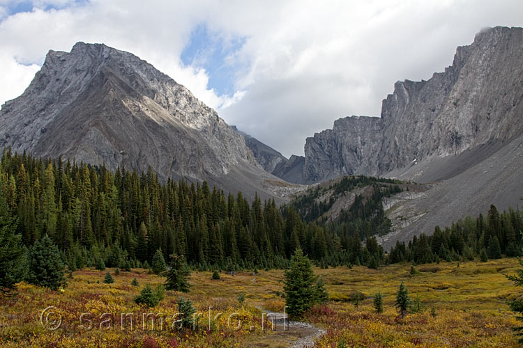 Wandelend door de open vlakte naar Chester Lake in Kananaskis Country in Canada