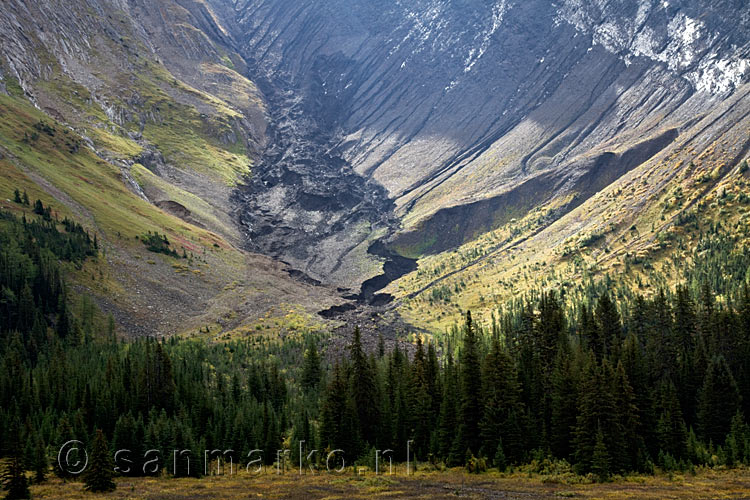 Een groot uitgewassen beekje bij Chester Lake in Kananaskis Country