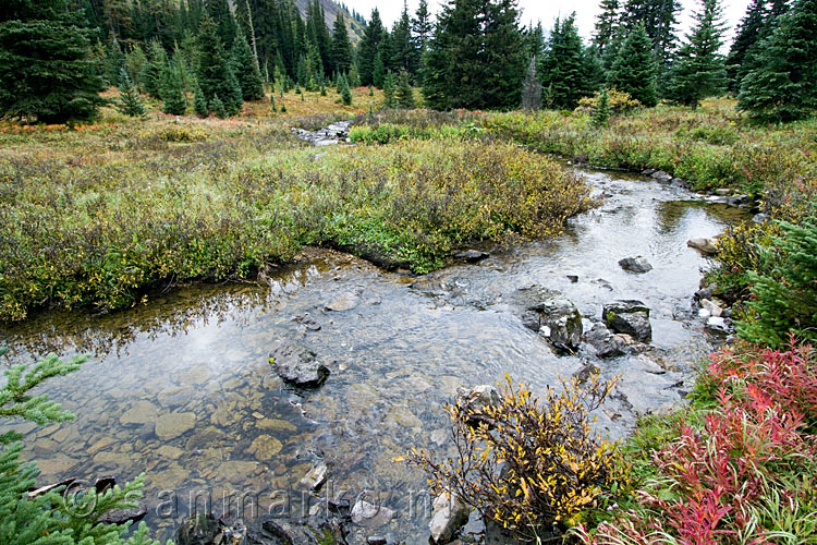 De schitterende natuur bij Chester Lake in Kananaskis Country in Canada