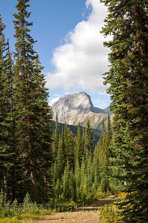 Wandelend terug van Chester Lake in Kananaskis Country bij Canmore