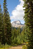 Wandelend terug van Chester Lake in Kananaskis Country bij Canmore