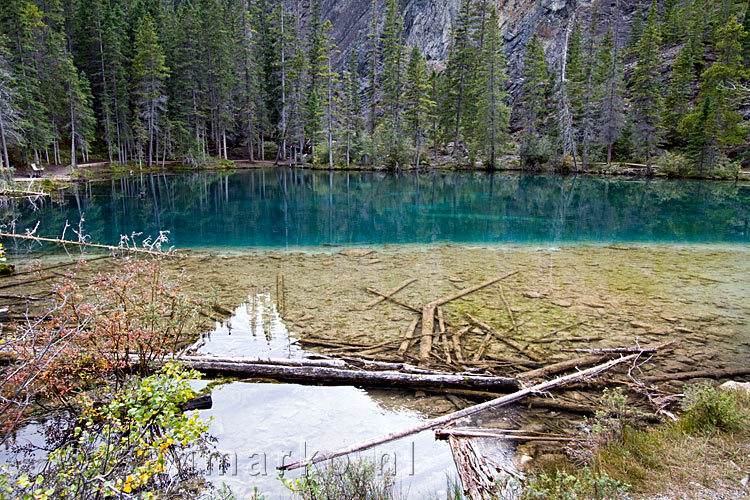 Een van de schitterend blauwe meren van Grassi Lakes in Kananaskis Country