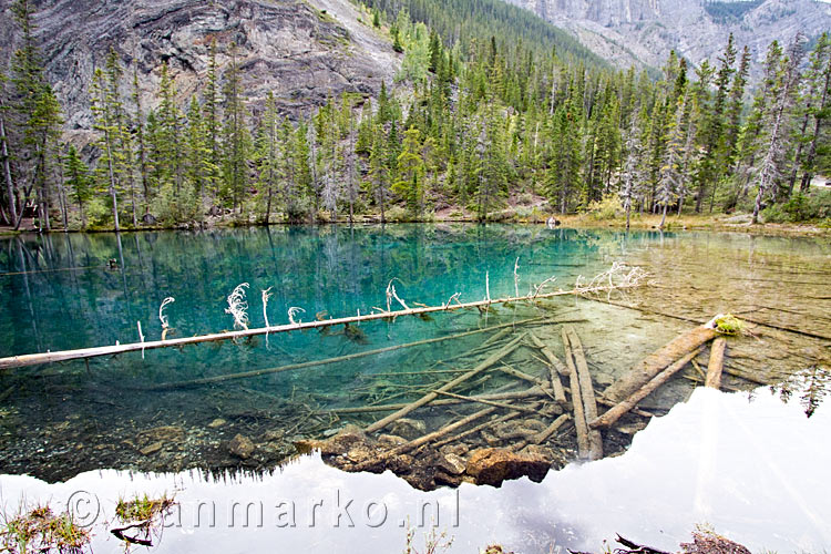 Een mooi uitzicht op Grassi Lakes in Kananaskis Country bij Canmore