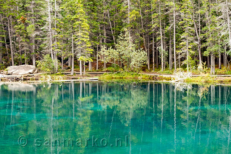 De weerspiegeling van bomen in Grassi Lakes bij Canmore