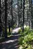 Het wandelpad over de Canadian Mt. Everest Expedition Trail in Kananaskis Country