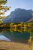 De mooie herfstkleuren weerspiegelen in Wedge Pond langs de Kananaskis Trail