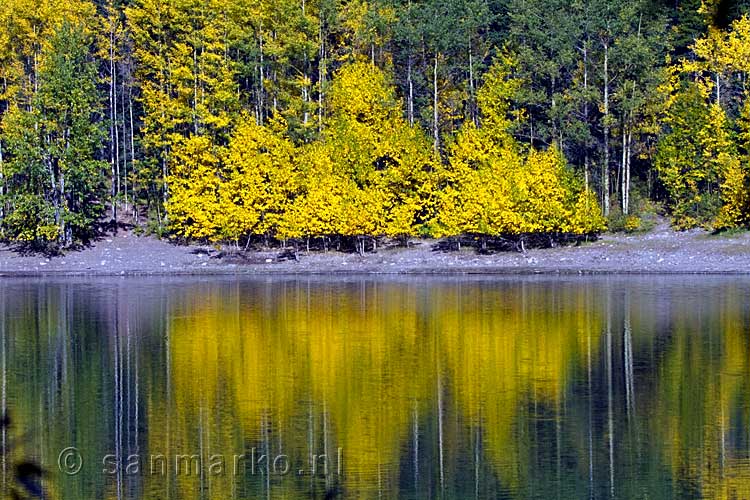 De mooie herfstkleuren bij Wedge Pond in Kananaskis Country in Canada