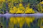 De mooie herfstkleuren bij Wedge Pond in Kananaskis Country in Canada