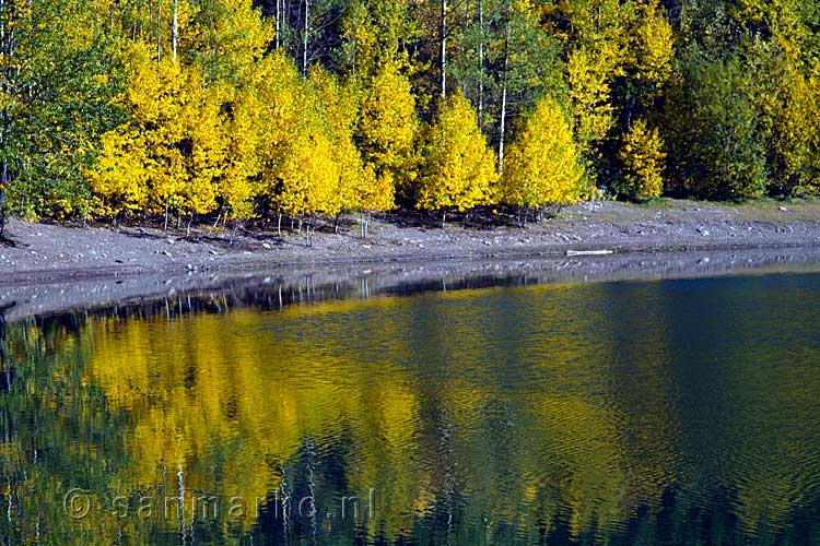 Het laatste uitzicht voor we Wedge Pond en Kananaskis Country verlaten