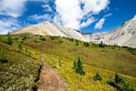 De schitterende omgeving van Ptarmigan Cirque in Kananaskis Country in Canada