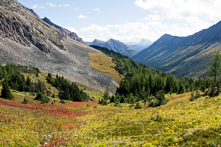 De bergen van Kananaskis Country gezien vanaf Ptarmigan Cirque