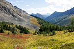 De bergen van Kananaskis Country gezien vanaf Ptarmigan Cirque