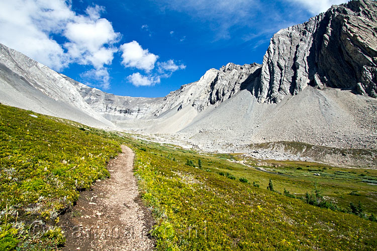 De vallei bij Ptarmigan Cirque in Kananaskis Country in Canada