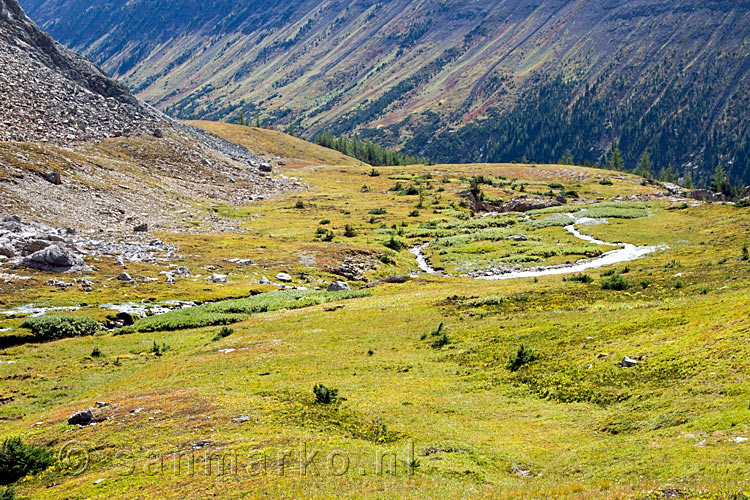 Vanaf het wandelpad van Ptarmigan Cirque een schitterend uitzicht op Kananaskis Country