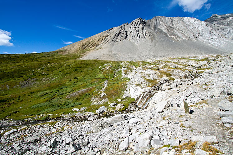 Een mooi uitzicht over de rosten rondom Ptarmigan Cirque in Kananaskis Country