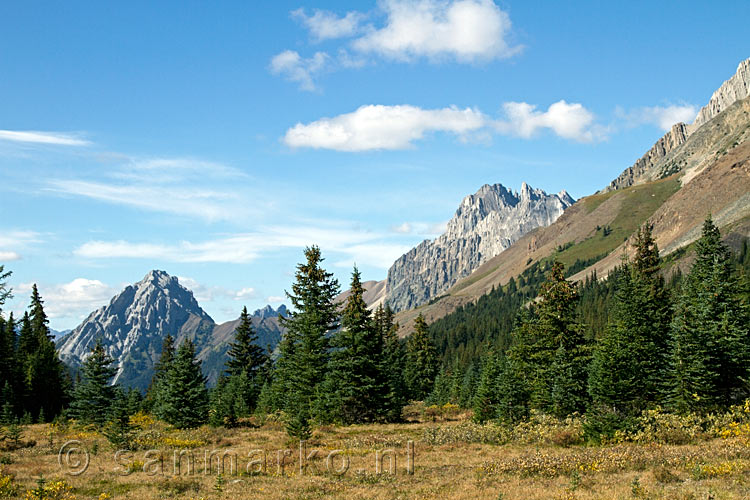 Uitzicht op de Highwood pass op de bergen van Kananaskis Country