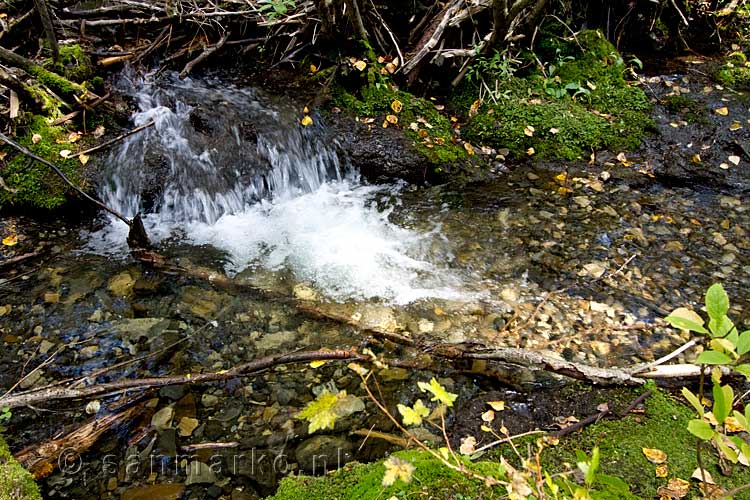 Een mini waterval in het beekje bij de Troll Falls