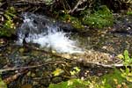 Een mini waterval in het beekje bij de Troll Falls