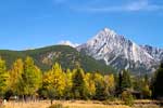 Mount Lorette en Skogan Peak in de Bow Valley in Kananaskis Country