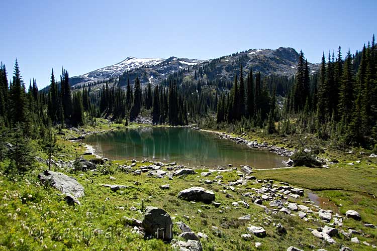 Een leuk klein meertje langs het wandelpad door Kokanee Glacier Provincial Park