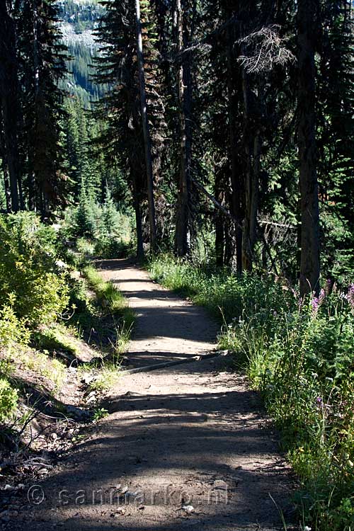 Het wandelpad terug naar Gibson Lake in Kokanee Glacier Provincial Park