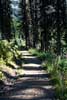 Het wandelpad terug naar Gibson Lake in Kokanee Glacier Provincial Park