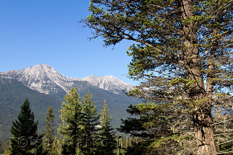 Uitzicht vanaf het wandelpad naar Dog Lake op Kootenay National Park