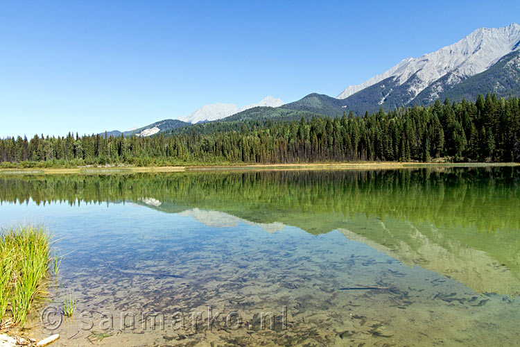 Het heldere water van Dog Lake in Kootenay National Park