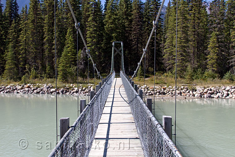 Wandelen over de hangbrug over de Kootenay River in Kootenay National Park