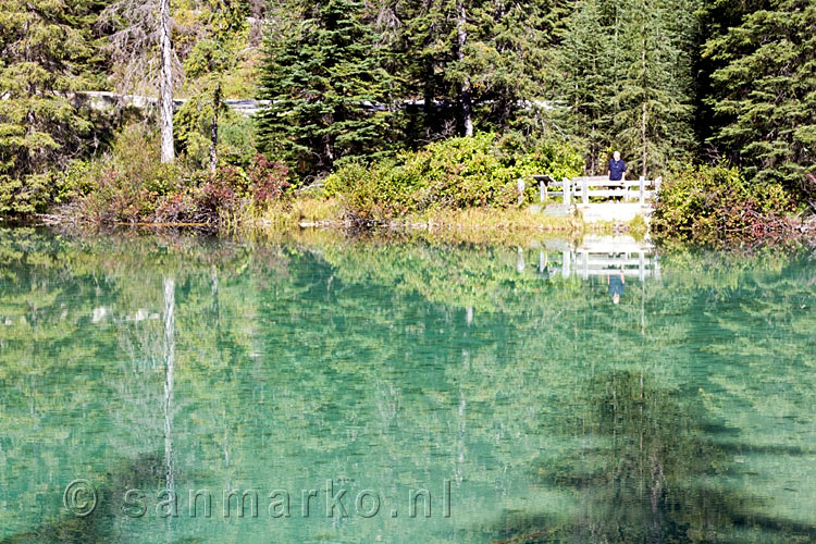 Het heldere water van Olive Lake aan de Kootenay Highway