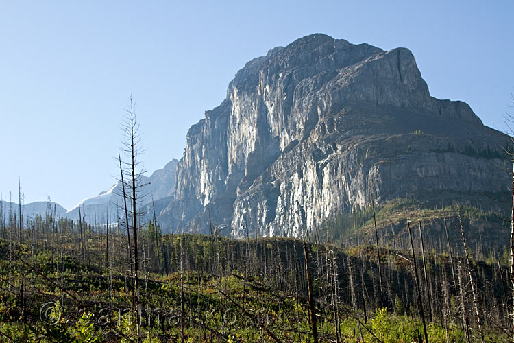 Storm Mountain gezien vanaf het wandelpad naar Stanly Glacier in Kootenay National Park