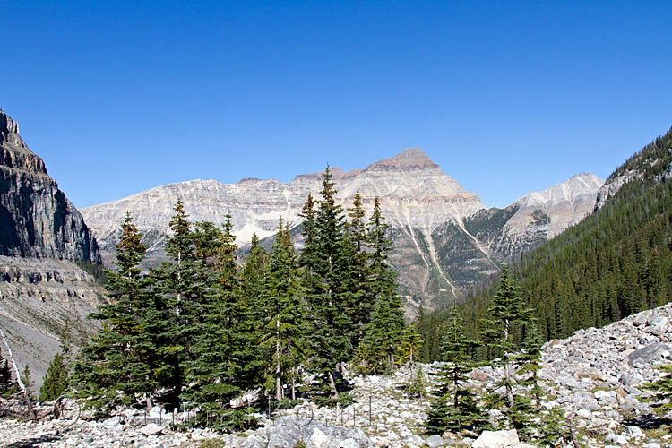 Het uitzicht vanaf het wandelpad richting de Kootenay Highway