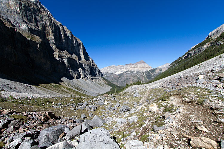 De vallei van de Stanley Glacier in Kootenay National Park in British Columbia