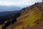 Het uitzicht over Manning Provincial Park aan het begin van de Heather Trail