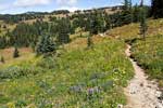 Het wandelpad richting the First Brother in Manning Provincial Park