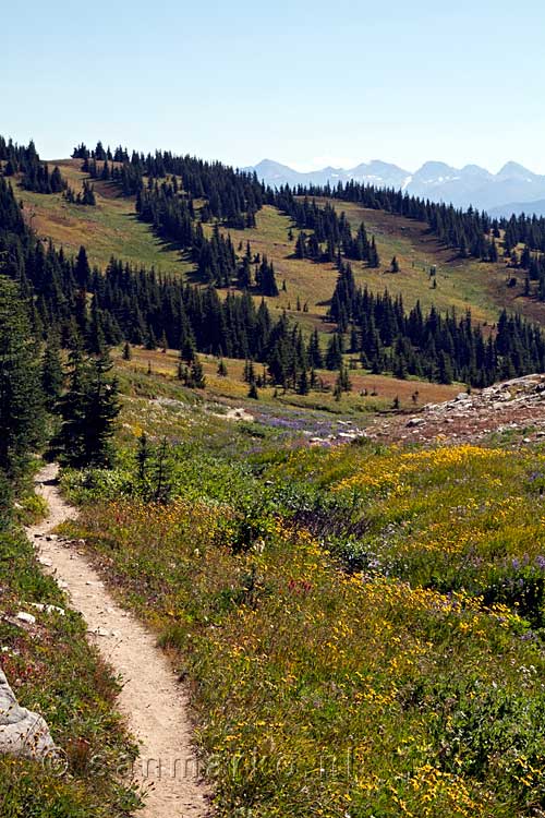 De weilanden rondom de Heather Trail in Manning Provincial Park