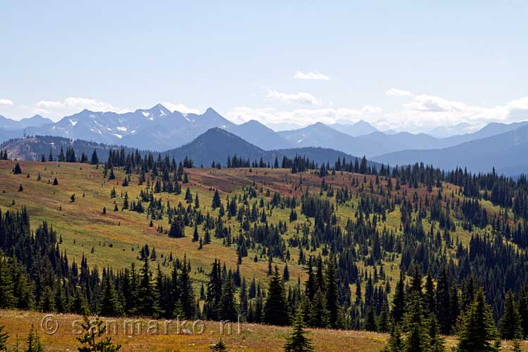 Nog een mooi uitzicht over Manning Provincial Park in Canada