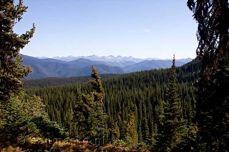 In de bossen hebben we mooie uitzichten over Manning Provincial Park