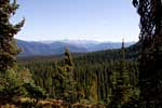 In de bossen hebben we mooie uitzichten over Manning Provincial Park