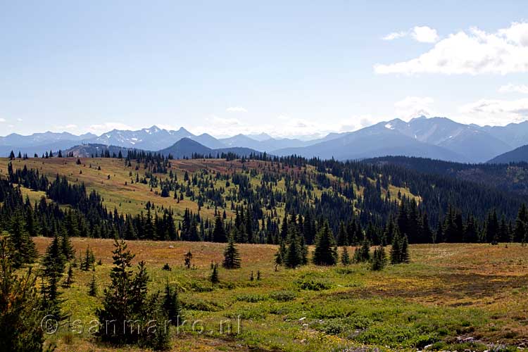 Vanaf het Heather Trail het uitzicht op Manning Provincial Park