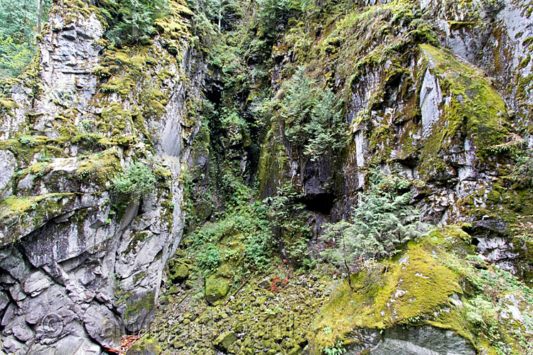 De mooie natuur van de kloof bij de Othello Tunnels bij Hope