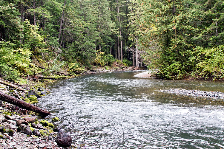 De Skagit River langs de Skagit Trail in Manning Provincial Park