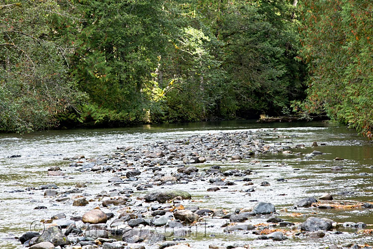 Een mooie rustplek langs de Skagit River in Manning Provincial Park bij Hope