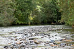 Een mooie rustplek langs de Skagit River in Manning Provincial Park bij Hope