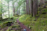 Wandelen over de Skgit Trail door mooie natuur in Manning Prov. Park