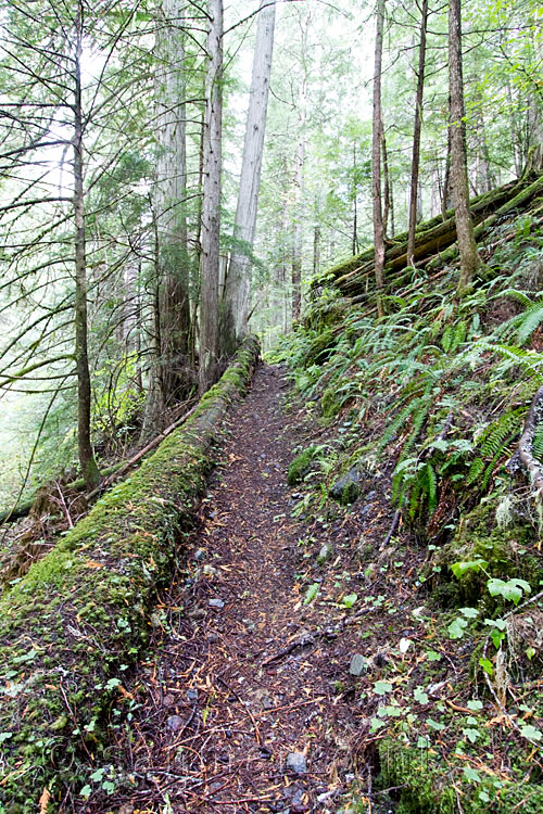 De Skagit Trail in Manning Provincial Park bij Hope in Canada