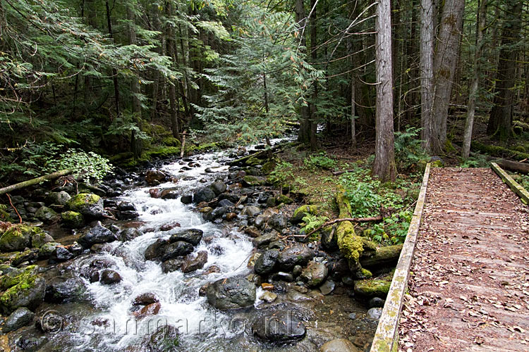 De brug over een zijstroom van de Skagit River langs het wandelpad