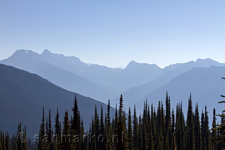 Vanaf het wandelpad naar Eva en Miller Lake een schitterend uitzicht over Mount Revelstoke NP